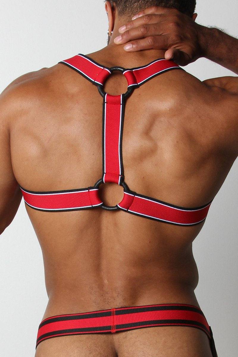 CellBlock 13 Kennel Club Scout Harness - Image 2
