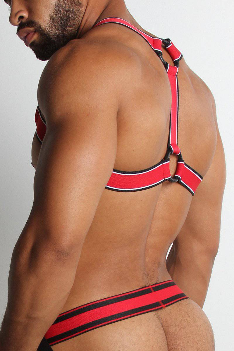 CellBlock 13 Kennel Club Scout Harness - Image 3