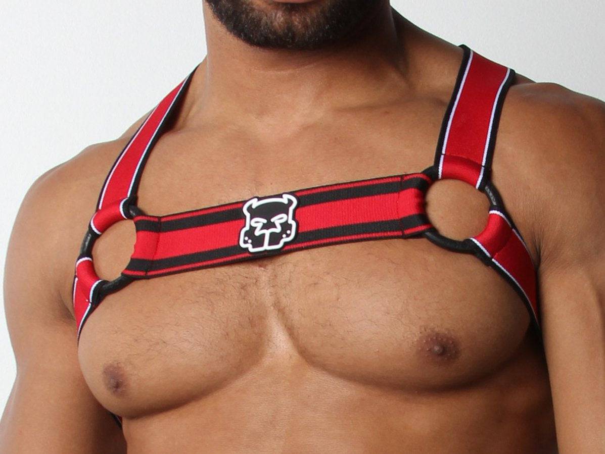 CellBlock 13 Kennel Club Scout Harness - Image 4