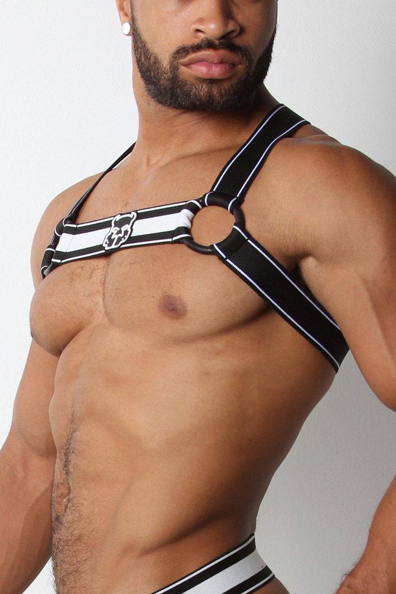 CellBlock 13 Kennel Club Scout Harness - Image 5