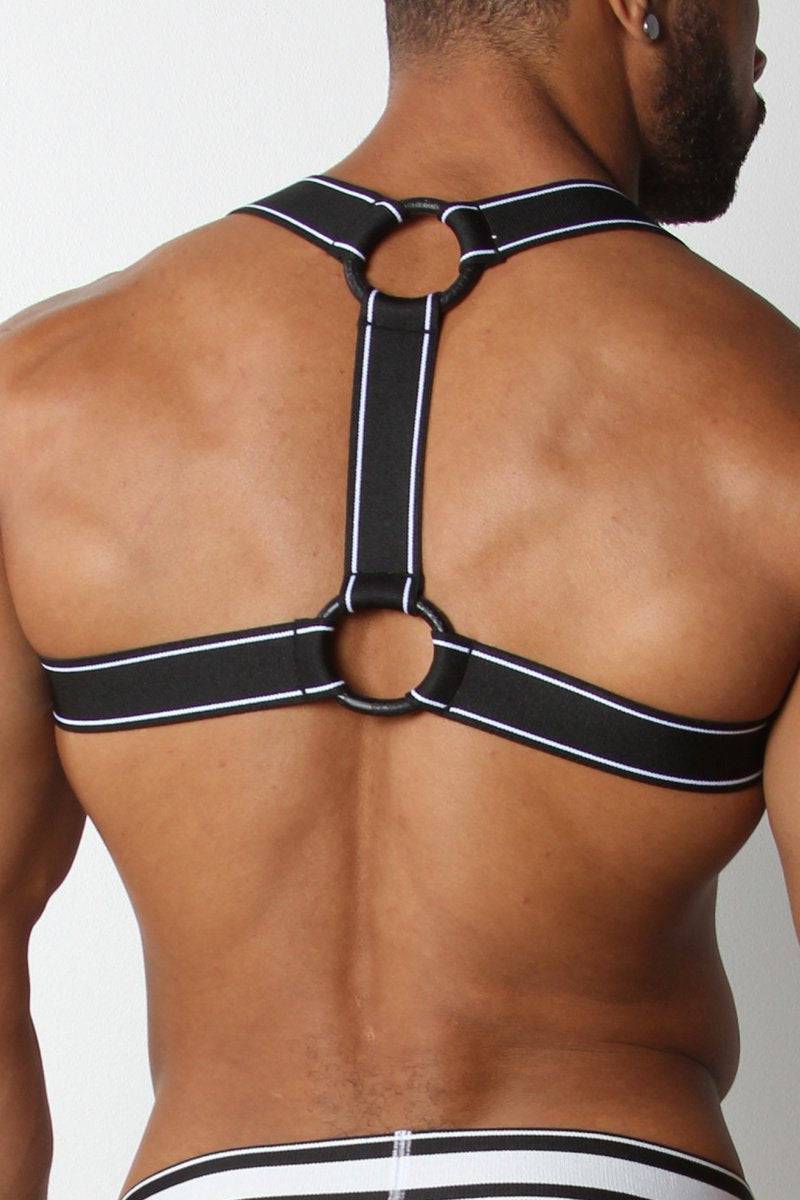 CellBlock 13 Kennel Club Scout Harness - Image 6