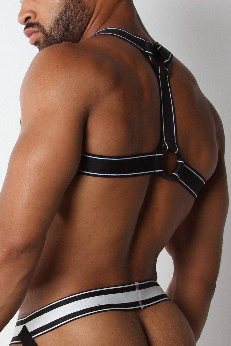 CellBlock 13 Kennel Club Scout Harness - Image 7