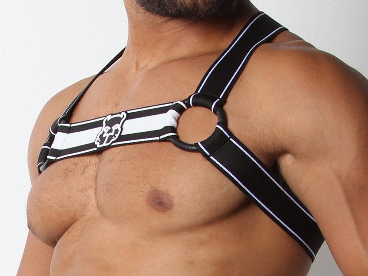 CellBlock 13 Kennel Club Scout Harness - Image 8