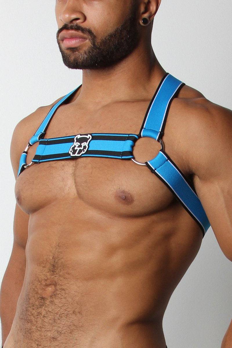 CellBlock 13 Kennel Club Scout Harness - Image 9