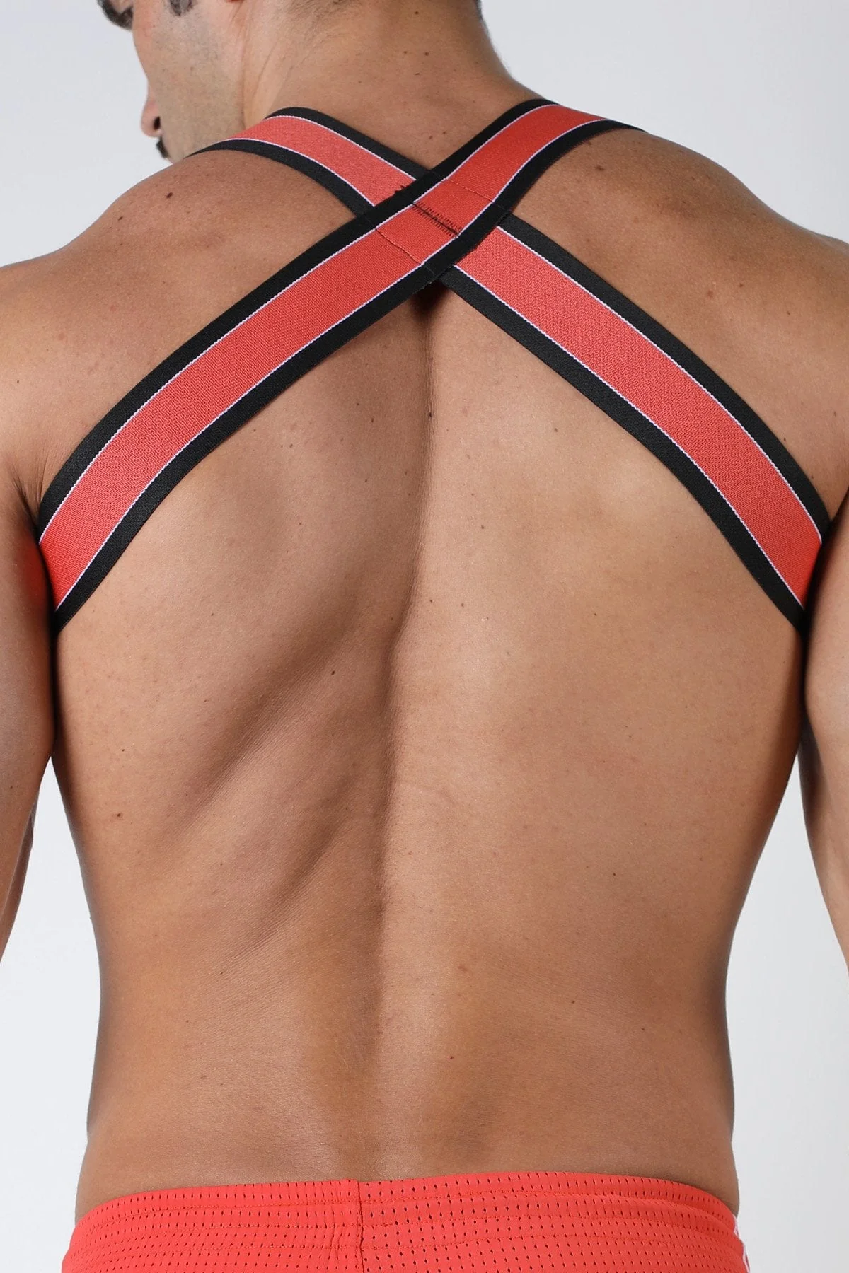 Cellblock 13 Kennel Club Spitfire Elastic Harness - Image 12