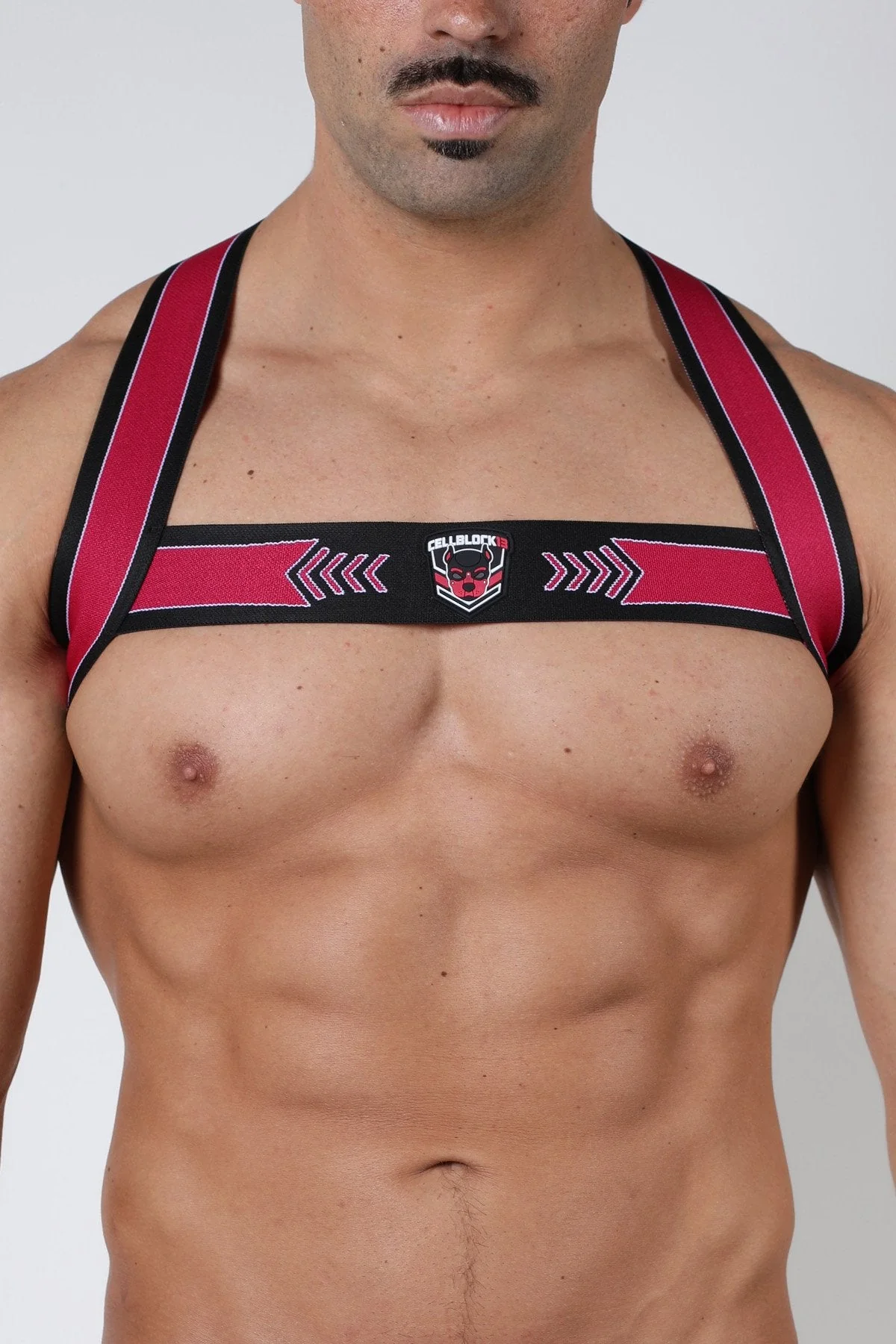 Cellblock 13 Kennel Club Spitfire Elastic Harness - Image 13