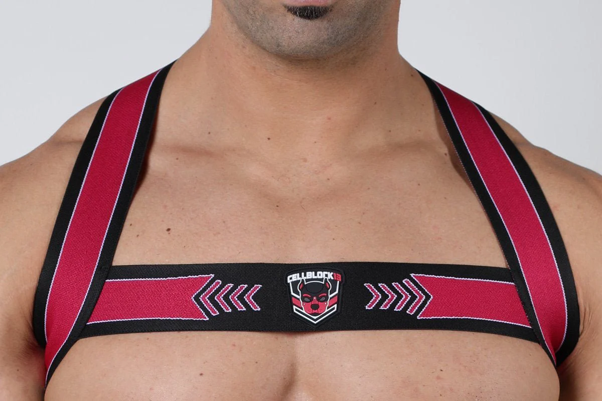 Cellblock 13 Kennel Club Spitfire Elastic Harness - Image 14