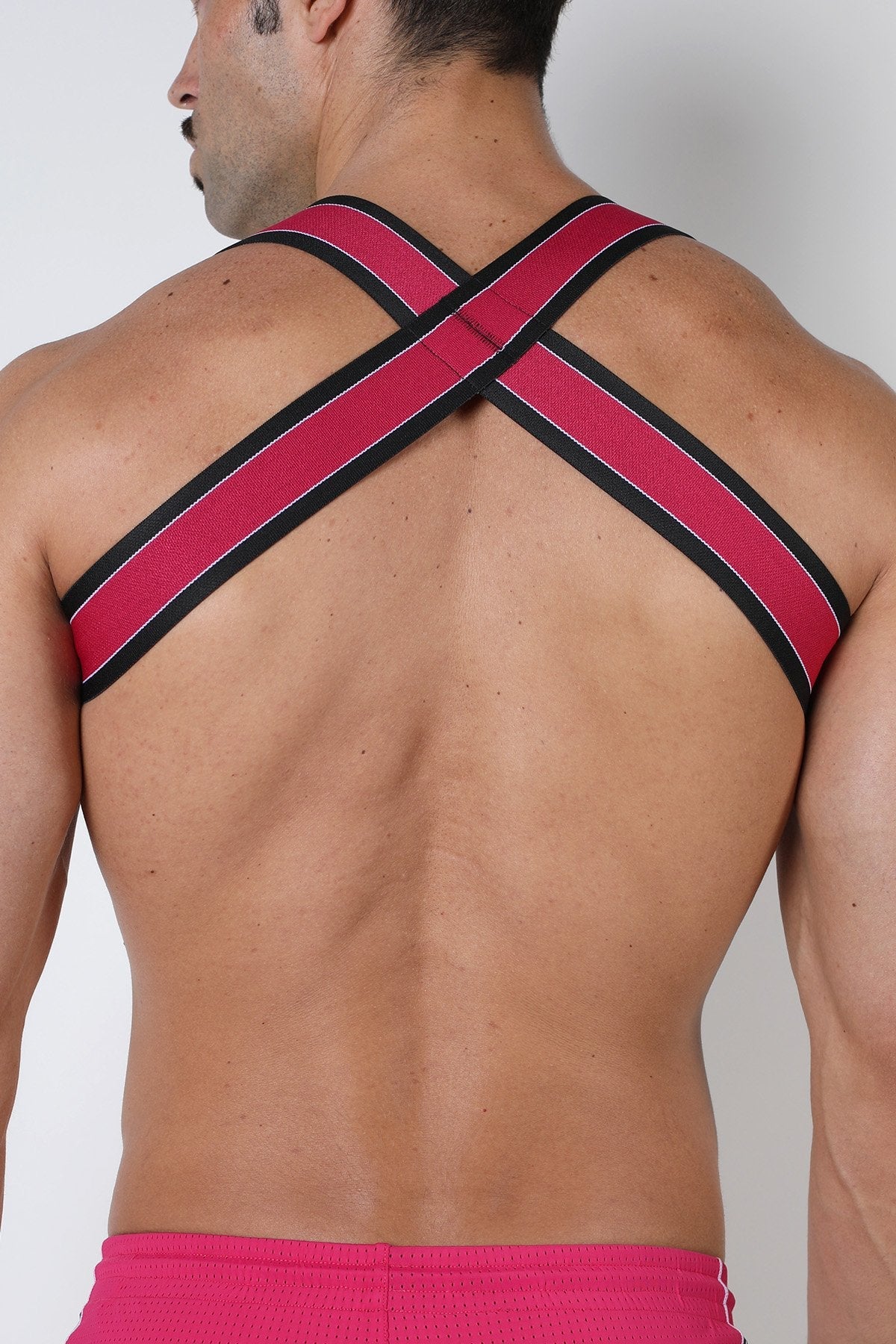Cellblock 13 Kennel Club Spitfire Elastic Harness - Image 15