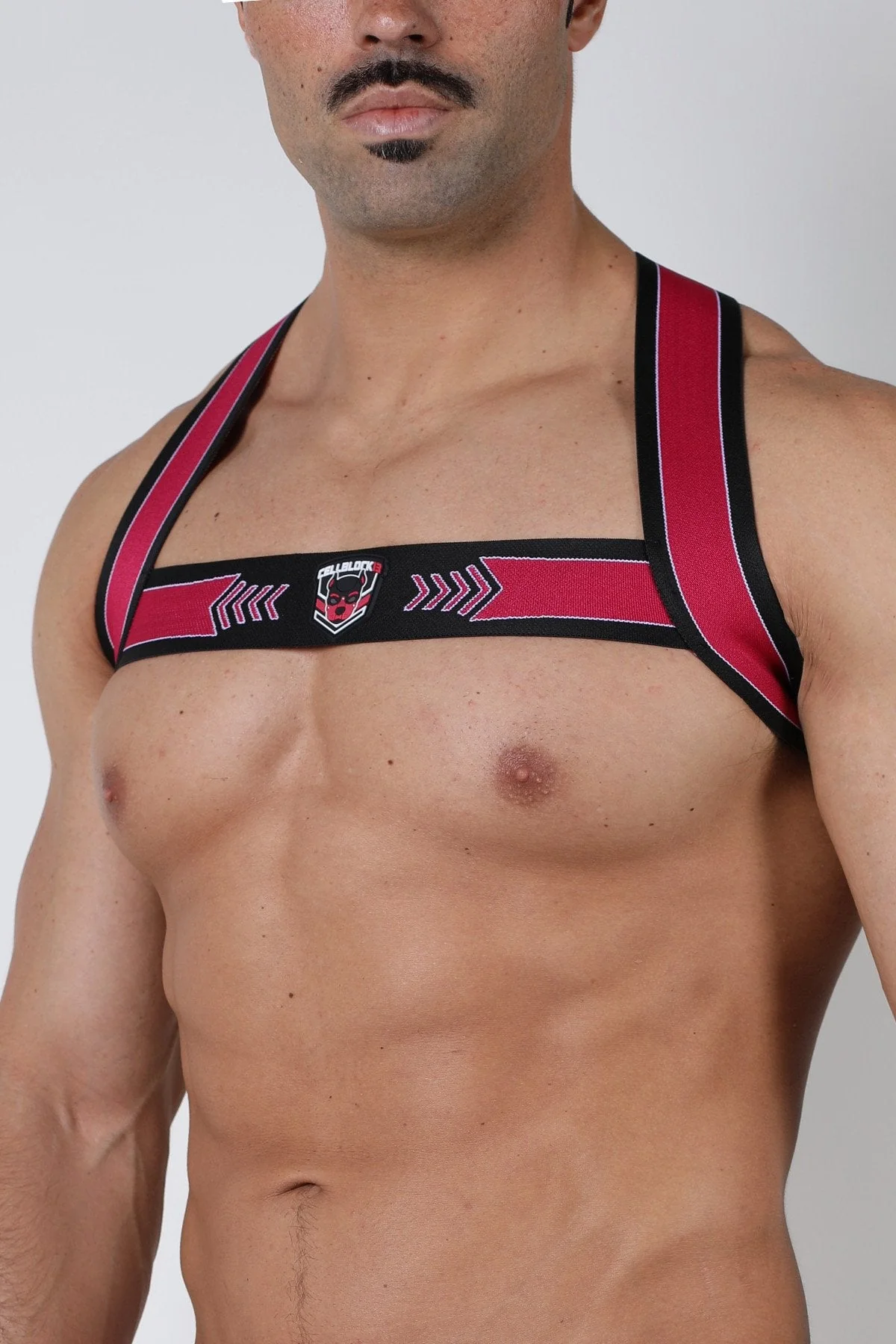 Cellblock 13 Kennel Club Spitfire Elastic Harness - Image 16