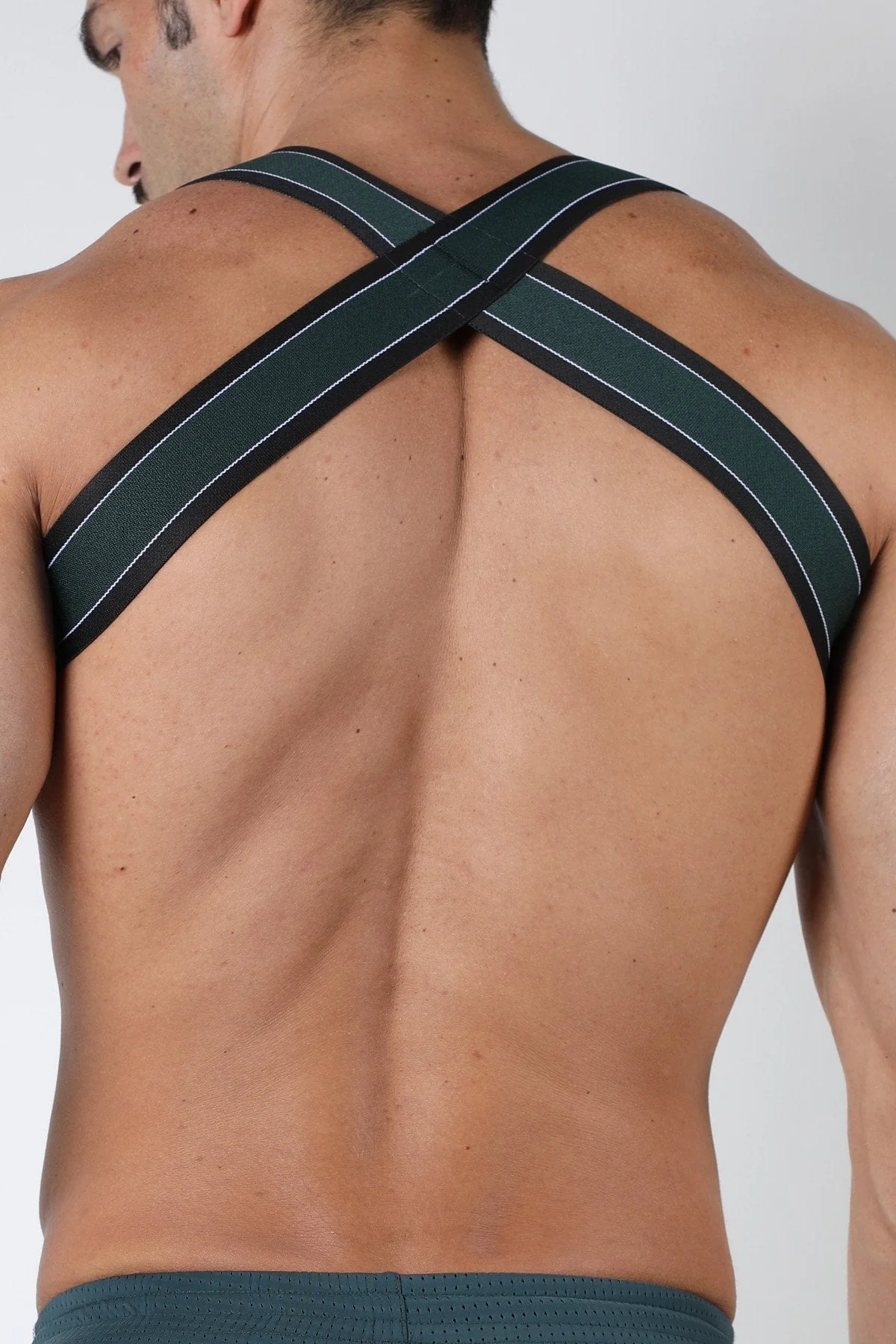 Cellblock 13 Kennel Club Spitfire Elastic Harness - Image 19
