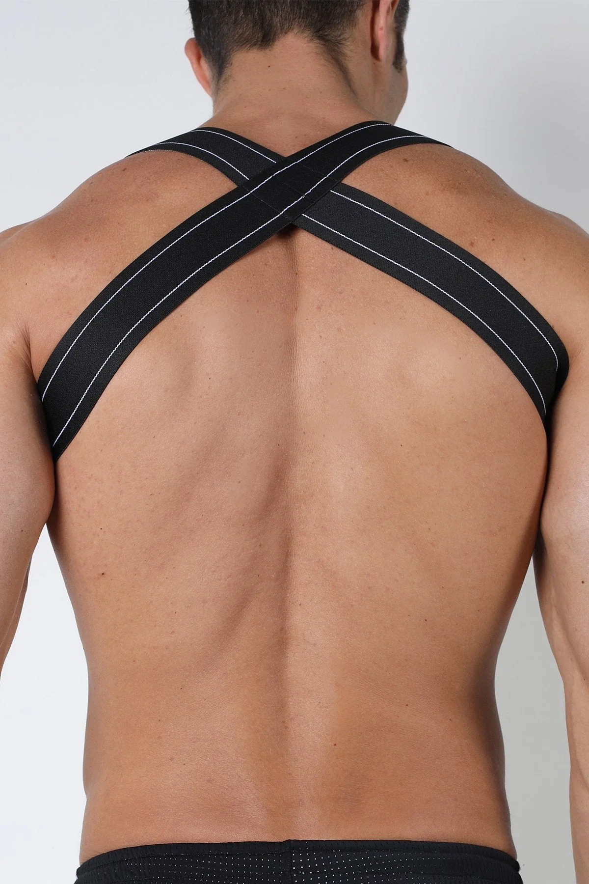 Cellblock 13 Kennel Club Spitfire Elastic Harness - Image 3