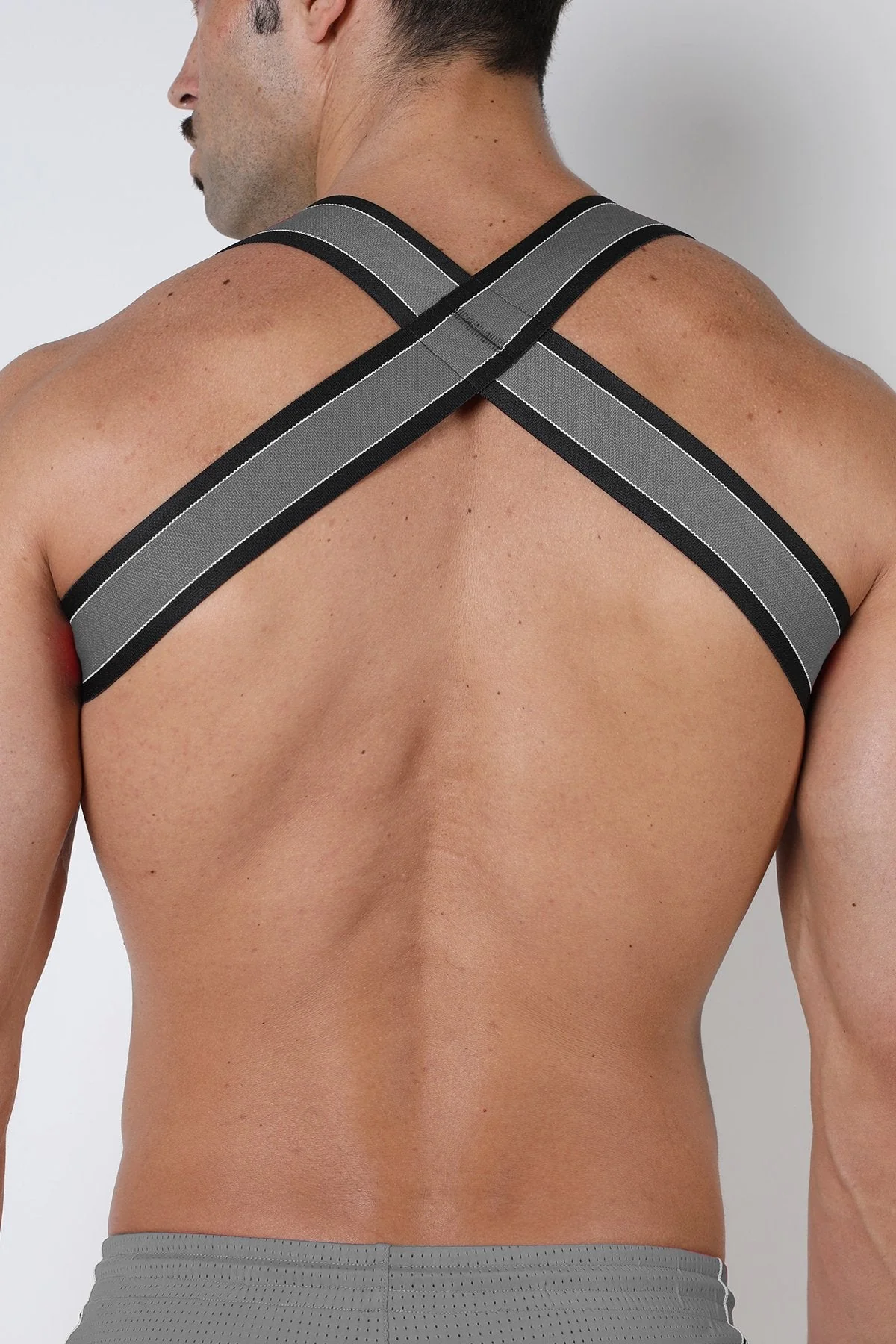 Cellblock 13 Kennel Club Spitfire Elastic Harness - Image 7