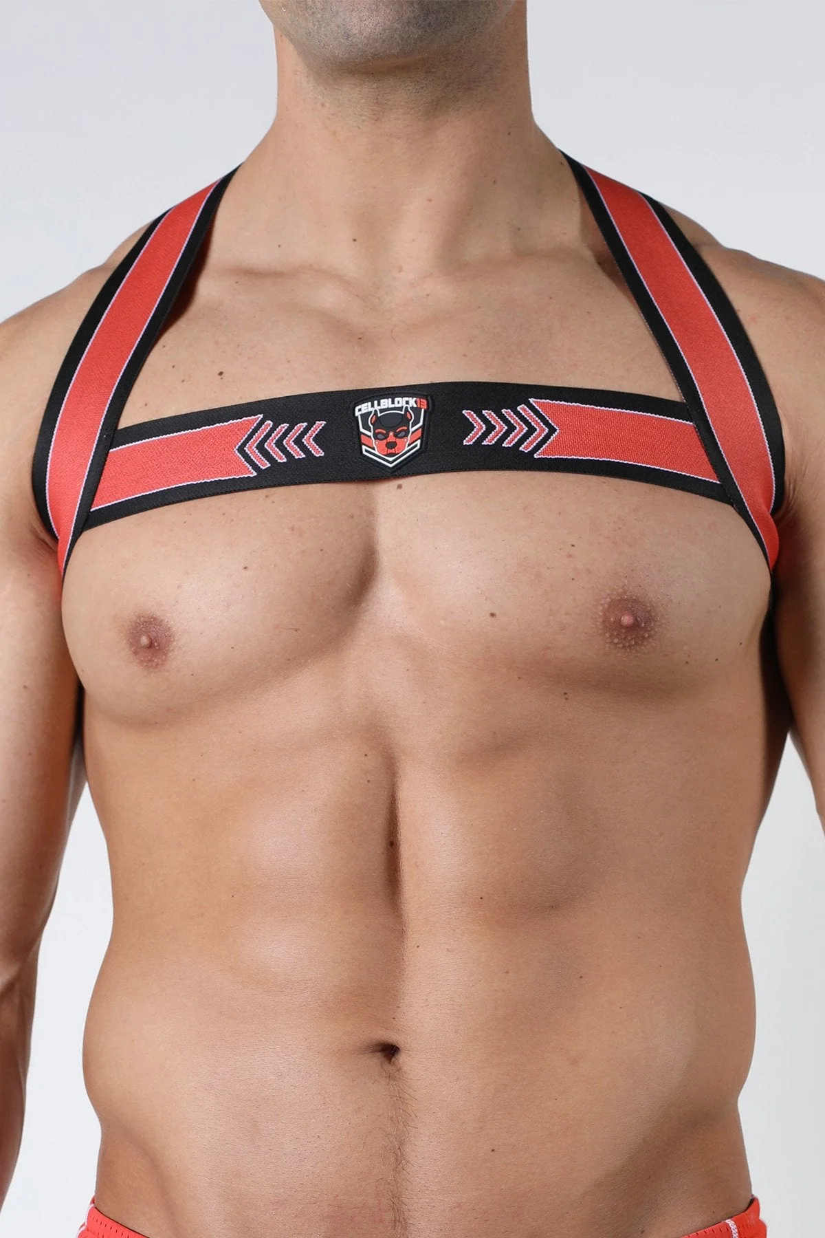 Cellblock 13 Kennel Club Spitfire Elastic Harness - Image 9