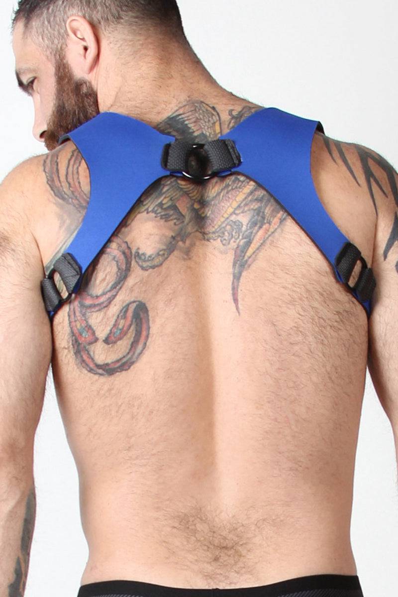 CellBlock 13 Spartan Reversible Harness - Image 2