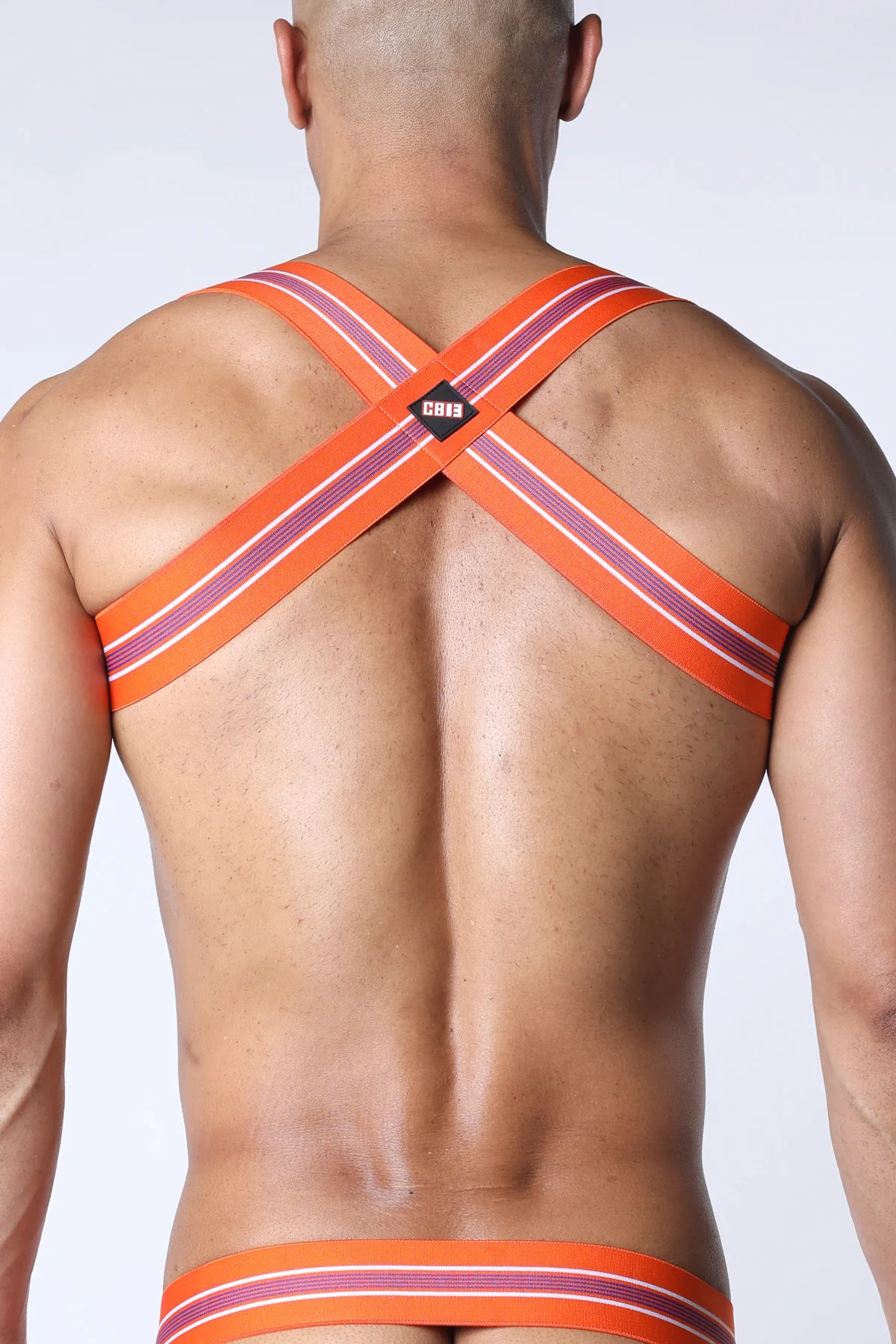 Cellblock 13 Tight End Elastic Harness - Image 15