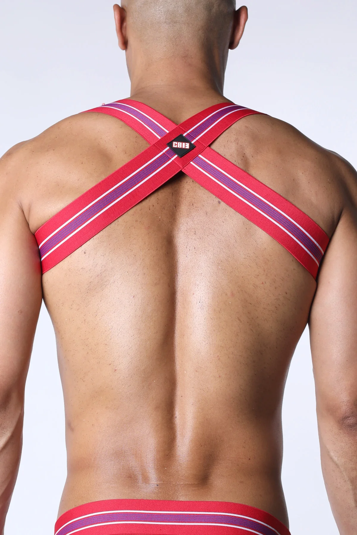 Cellblock 13 Tight End Elastic Harness - Image 18