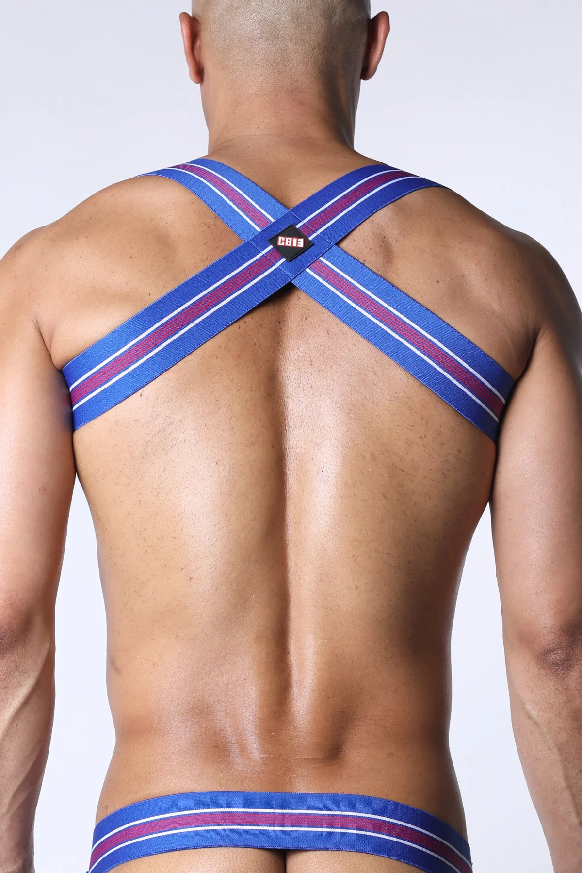 Cellblock 13 Tight End Elastic Harness - Image 9