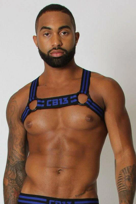 CellBlock 13 Torque Elastic Harness - Image 3