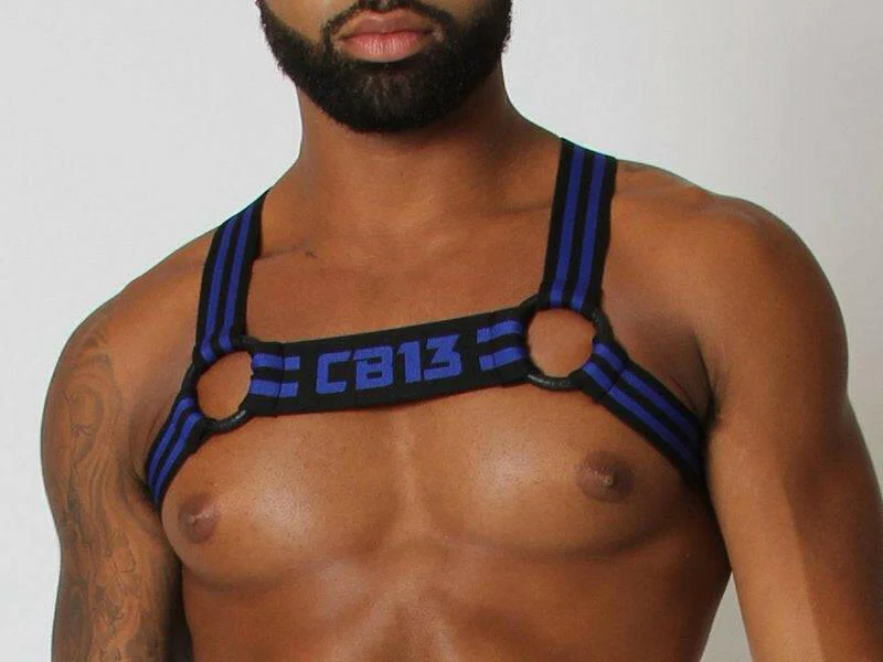 CellBlock 13 Torque Elastic Harness - Image 4