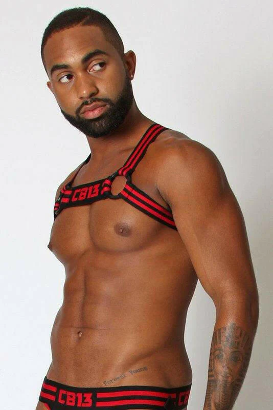 CellBlock 13 Torque Elastic Harness - Image 5
