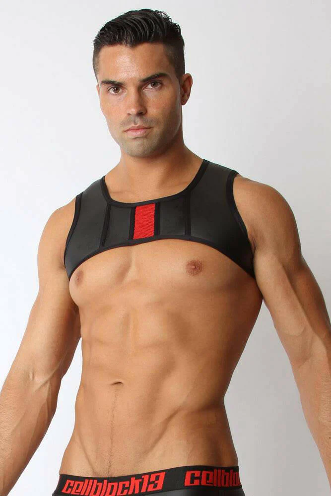 CellBlock 13 Vector Harness - Image 6