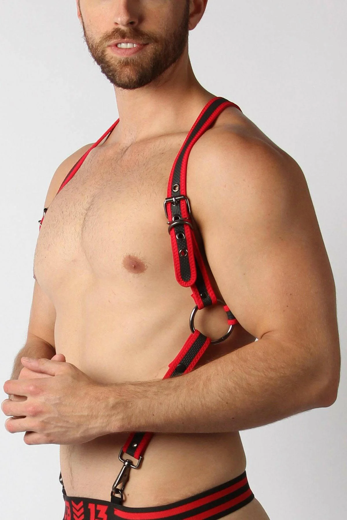 CellBlock Trojan Harness - Image 4