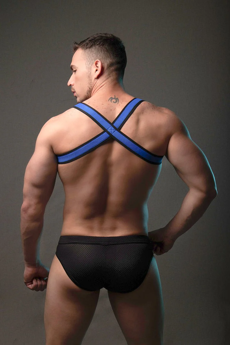Dale Mas Urban X-Men Harness - Image 2