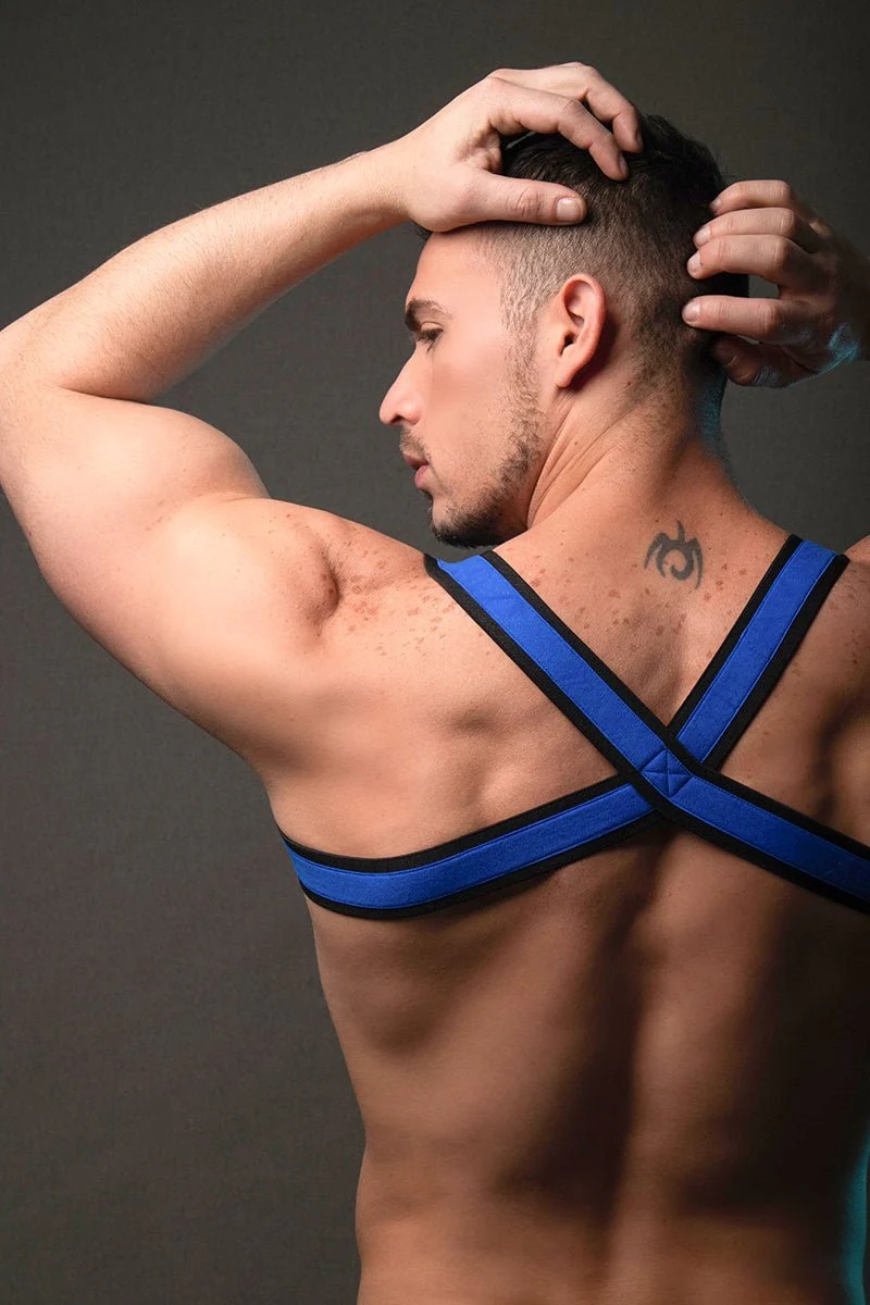 Dale Mas Urban X-Men Harness - Image 5