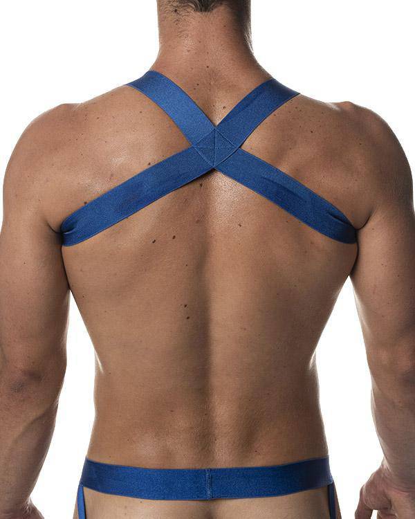 DJX Trough Harness - Image 2