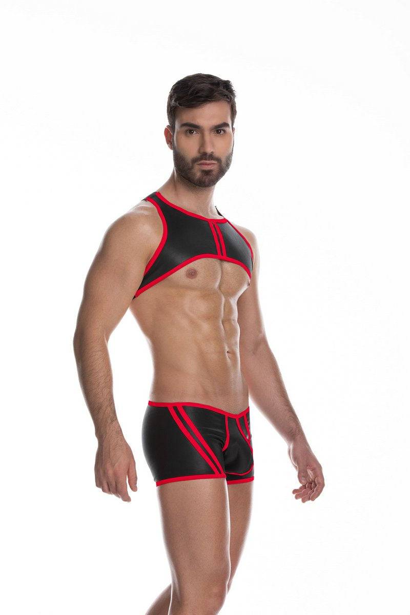 GIGO Fetish Harness | Fetish Harness - Image 3