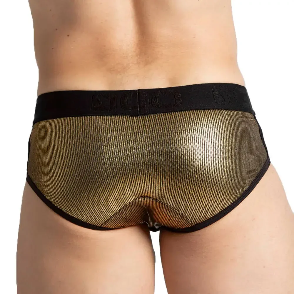 GIGO Shinese Brief - Image 3