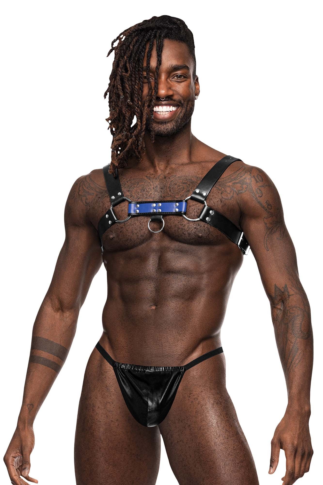 Male Power 590-266 Leather Aries Harness - Image 2