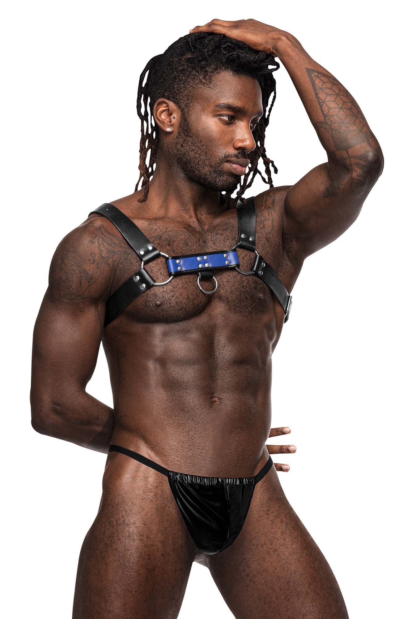 Male Power 590-266 Leather Aries Harness - Image 5
