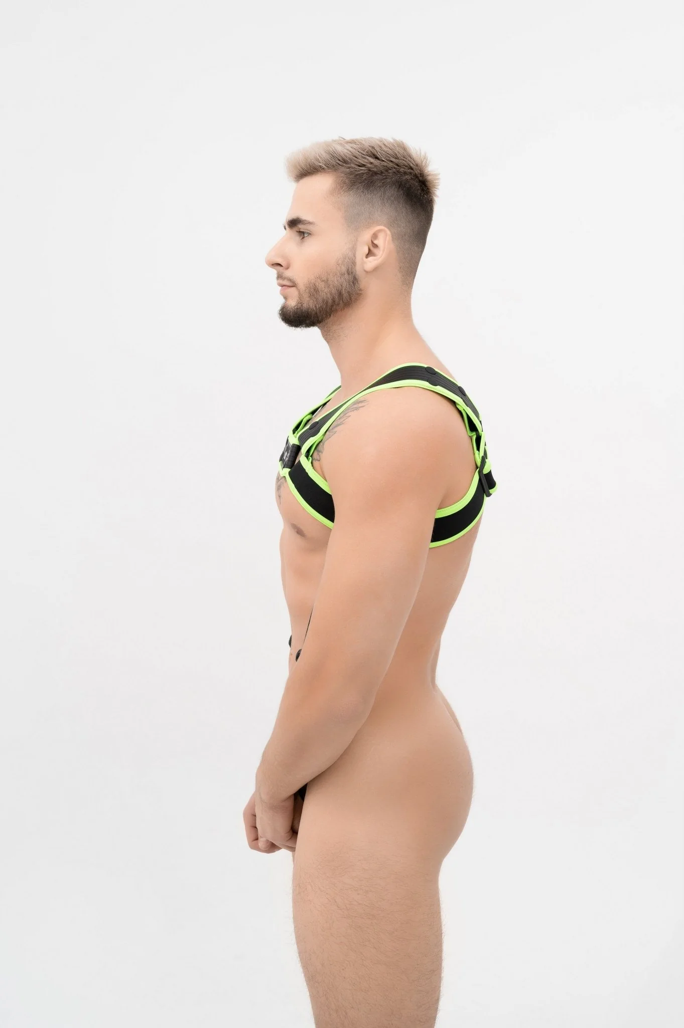 Outtox Bulldog Harness with C-Ring and Snaps - Image 16